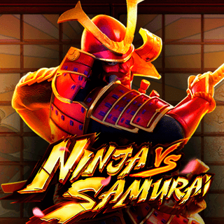 Ninja vs Samurai